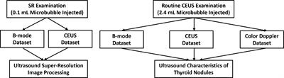 Ultrasound super-resolution imaging for the differential diagnosis of thyroid nodules: A pilot study